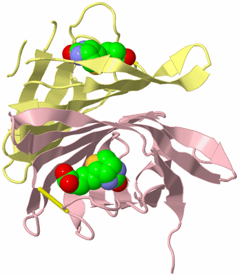 Image Biological Unit 2