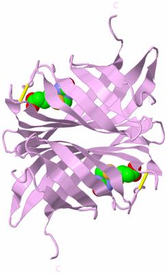 Image Biological Unit 3