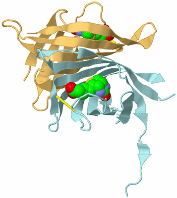 Image Biological Unit 4