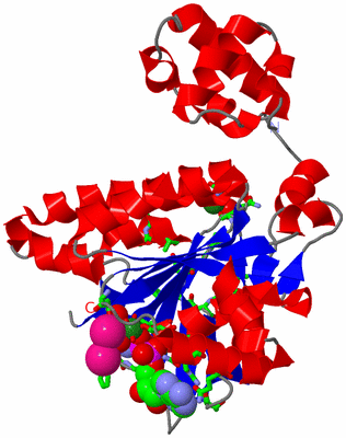 Image Asym./Biol. Unit - sites