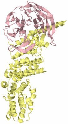 Image Biological Unit 2