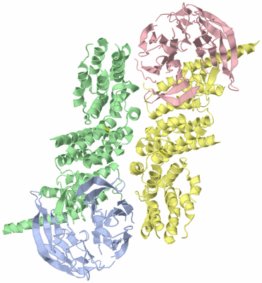 Image Biological Unit 3