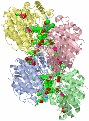 Image Biol. Unit 1 - sites