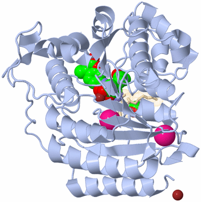 Image Biological Unit 2