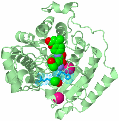 Image Biological Unit 3