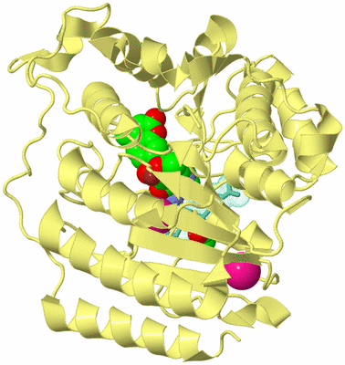 Image Biological Unit 5