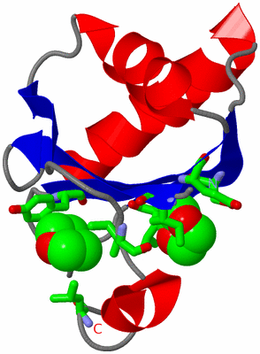 Image Asym. Unit - sites