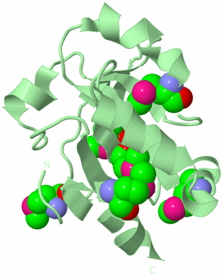 Image Biological Unit 2