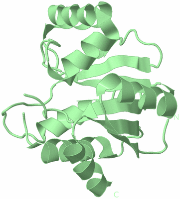 Image Biological Unit 3