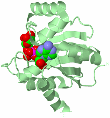 Image Biological Unit 3