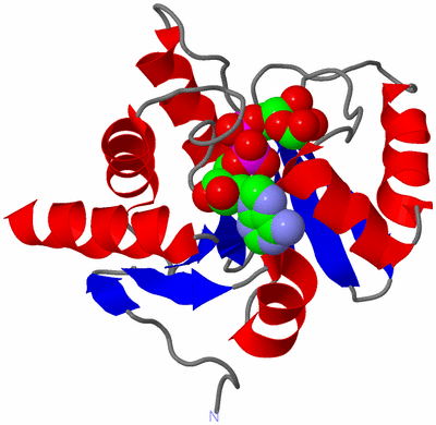 Image Asym./Biol. Unit