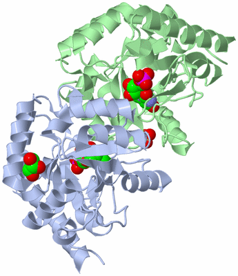 Image Asym./Biol. Unit