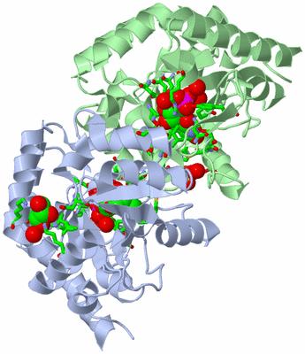 Image Asym./Biol. Unit - sites