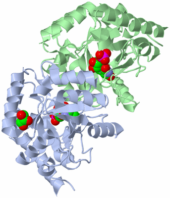 Image Asym./Biol. Unit