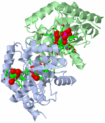 Image Asym./Biol. Unit - sites