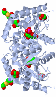 Image Biological Unit 1