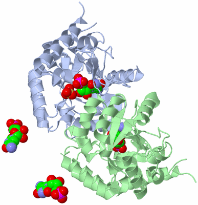 Image Biological Unit 1