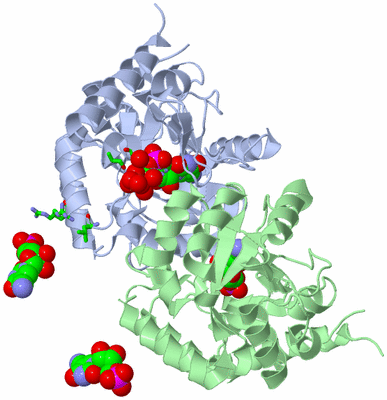 Image Biol. Unit 1 - sites