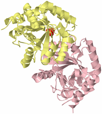 Image Biological Unit 2