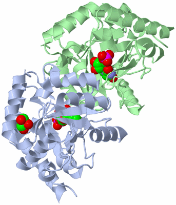 Image Asym./Biol. Unit