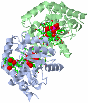 Image Asym./Biol. Unit - sites