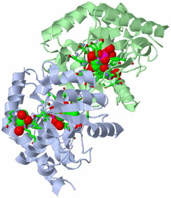 Image Asym./Biol. Unit - sites