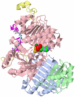 Image Biological Unit 1