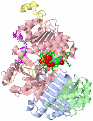 Image Biol. Unit 1 - sites