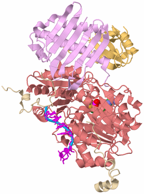 Image Biological Unit 2