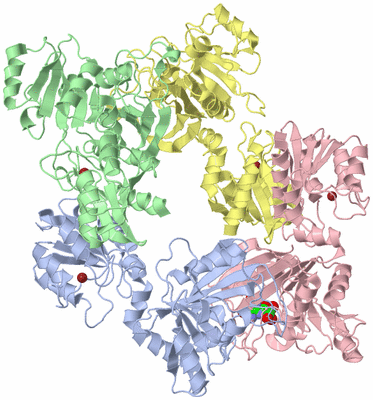 Image Asym./Biol. Unit