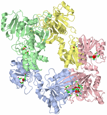 Image Asym./Biol. Unit - sites