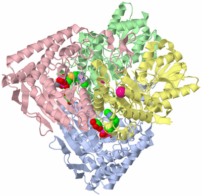 Image Biological Unit 1