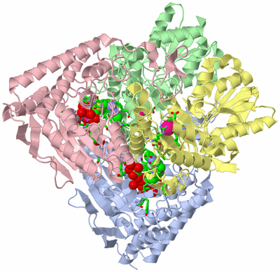 Image Biol. Unit 1 - sites