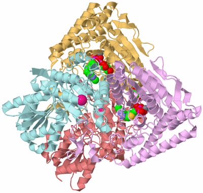 Image Biological Unit 2