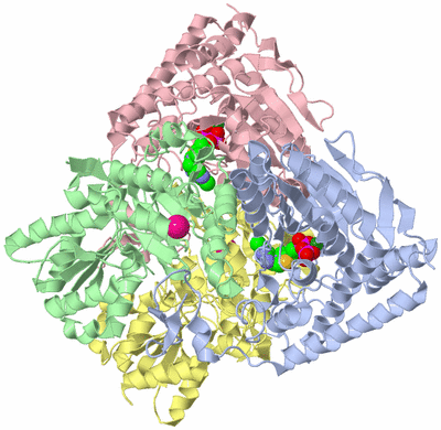 Image Biological Unit 1