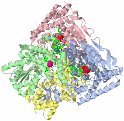 Image Biol. Unit 1 - sites