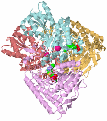 Image Biological Unit 2