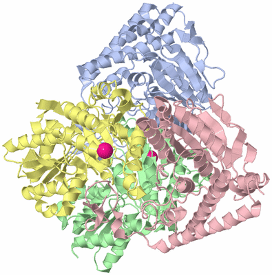 Image Biological Unit 1