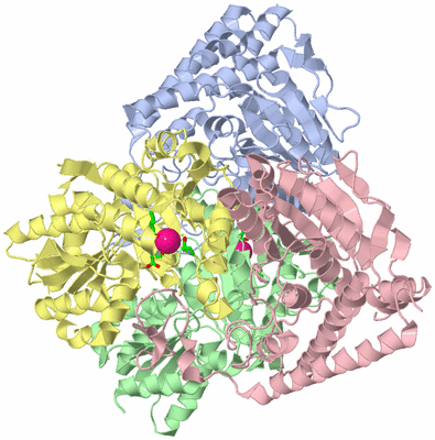 Image Biol. Unit 1 - sites