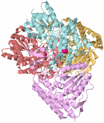 Image Biological Unit 2