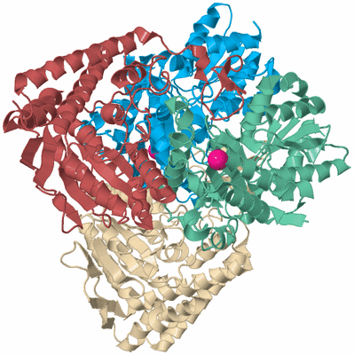 Image Biological Unit 3