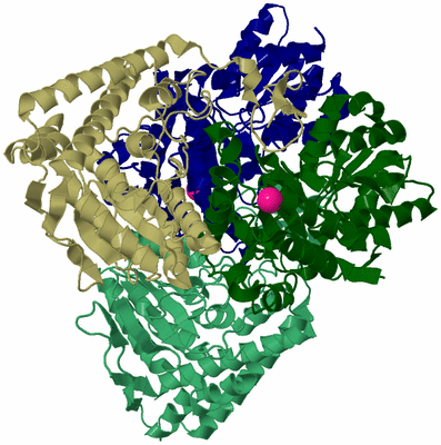 Image Biological Unit 5