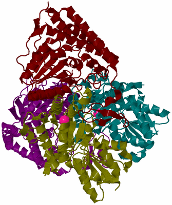 Image Biological Unit 6