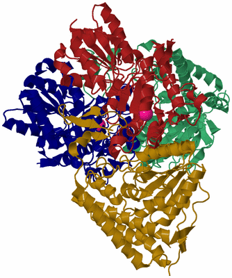 Image Biological Unit 7