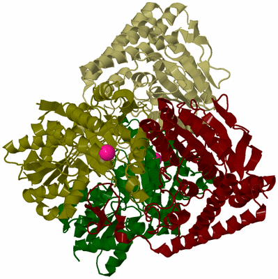 Image Biological Unit 8