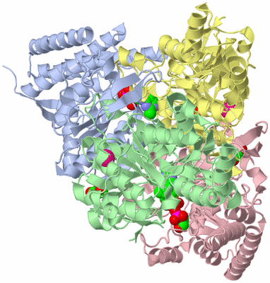 Image Biological Unit 1