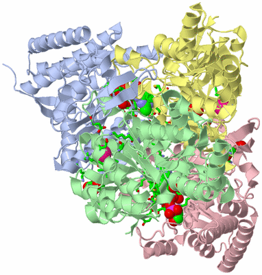 Image Biol. Unit 1 - sites