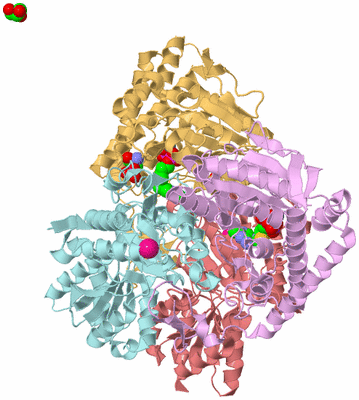 Image Biological Unit 2