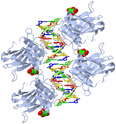 Image Biological Unit 1