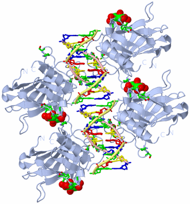 Image Biol. Unit 1 - sites